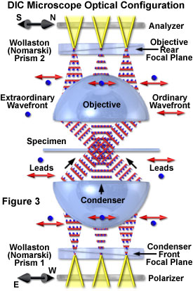 dic intro figure3